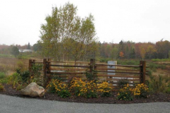 2-gl-Trees_Shrubs_Perennails-3012