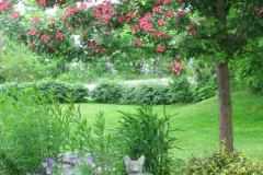 2-gl-Trees_Shrubs_Perennails-5639