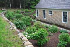 2-gl-Trees_Shrubs_Perennails-7648