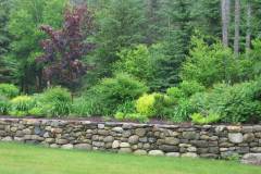 2-gl-Trees_Shrubs_Perennails-7965