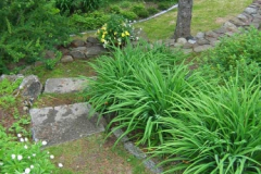 2-gl-Trees_Shrubs_Perennails-9609